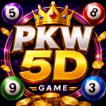 PKW5D Game