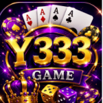 Y333 Game