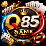 Q85 Game